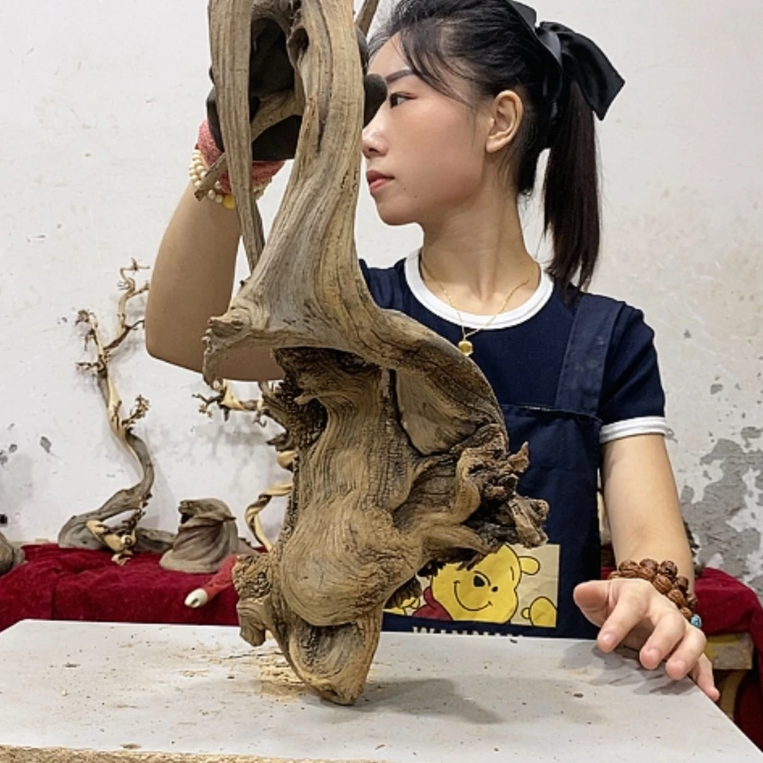 【闪购商品】柏木圣**常我们都是好孩子