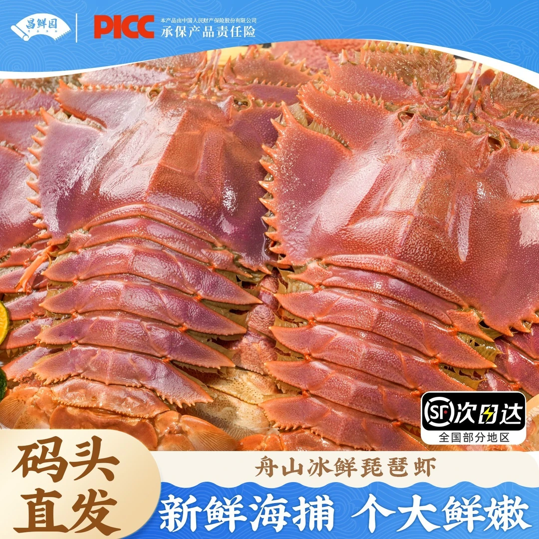 【达人】舟山琵琶虾船冻九齿扇虾海鲜虾姑濑尿虾生鲜深海冷冻爬虾