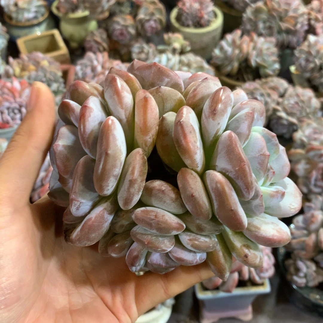 哈哈哈哈哈哈哈哈哈