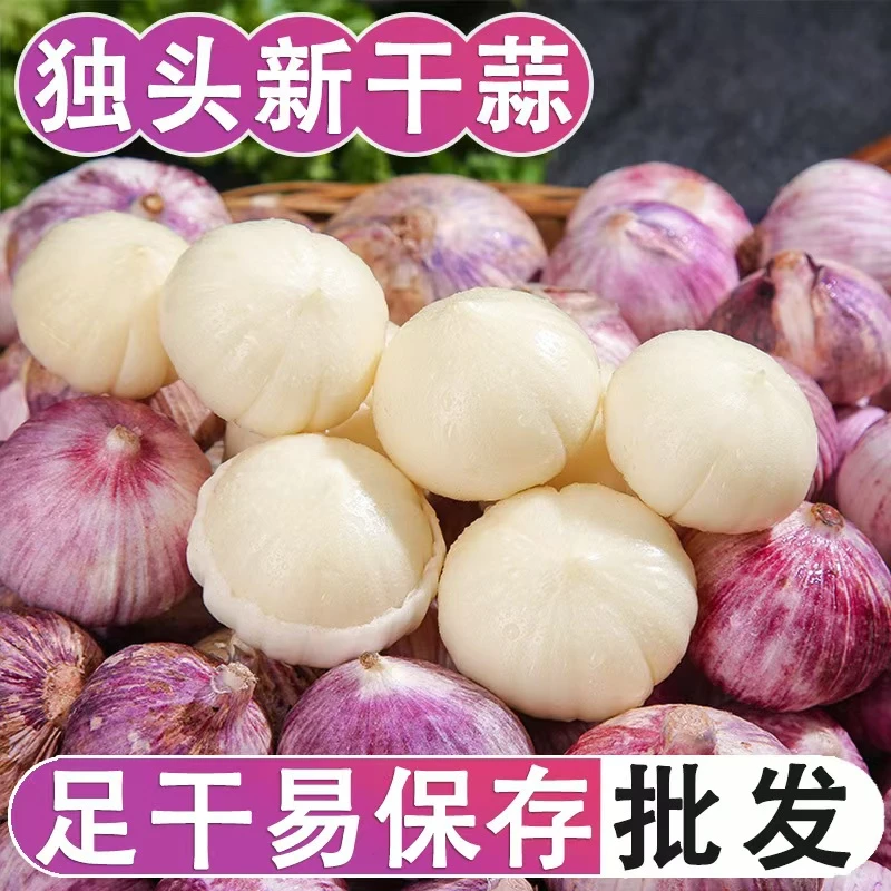 2025年紫皮独头蒜新鲜晒干大蒜头批发价干蒜红皮大蒜辛辣多汁香蒜