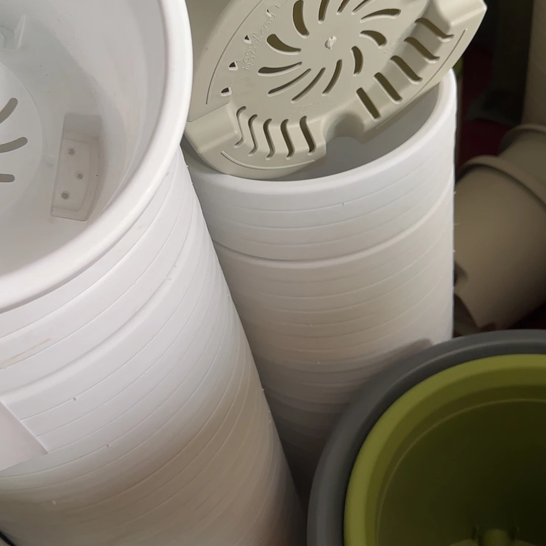 树脂四季7号无托6个果绿