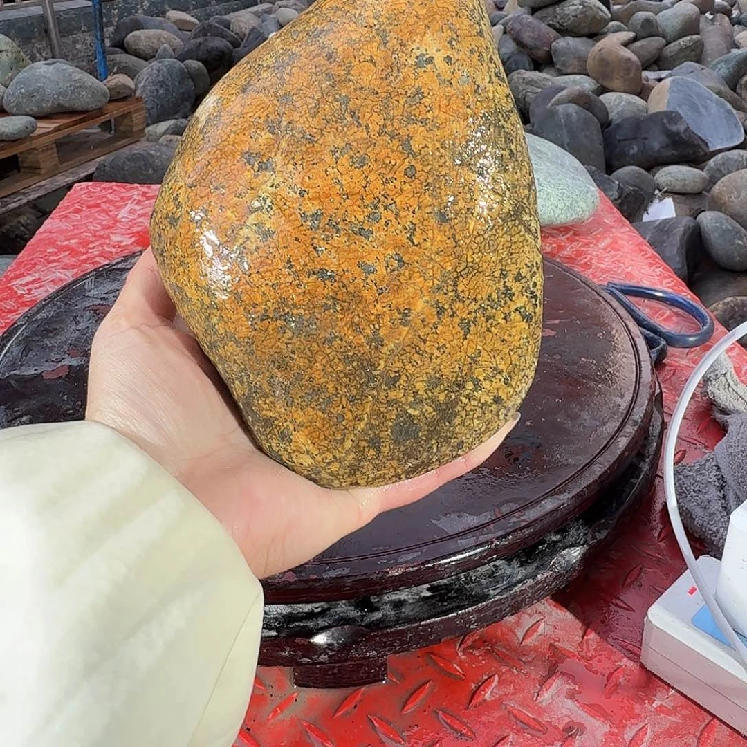 花***言蛇纹石玉未镶嵌天然原石摆件藏玉西藏