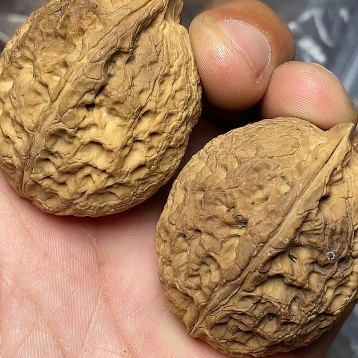 把件文玩核桃志成云铁文玩30