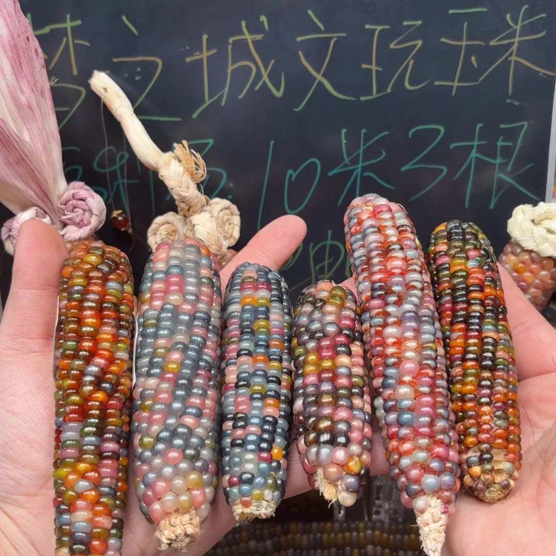 柏香籽/百香籽吊坠摩****张