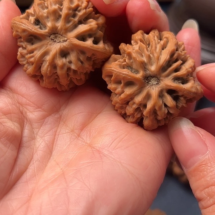 ****蔓木桃树是我喜欢看