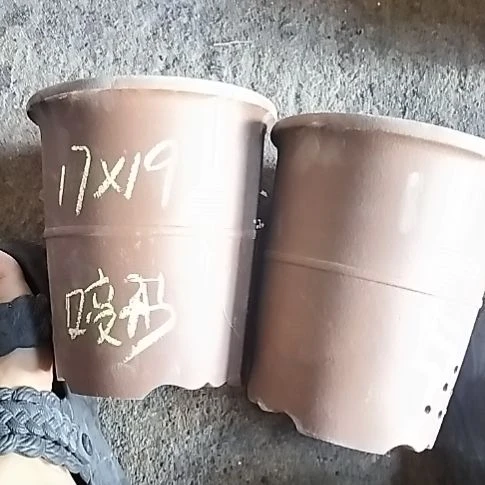 腰缠万贯两个微瑕口变形