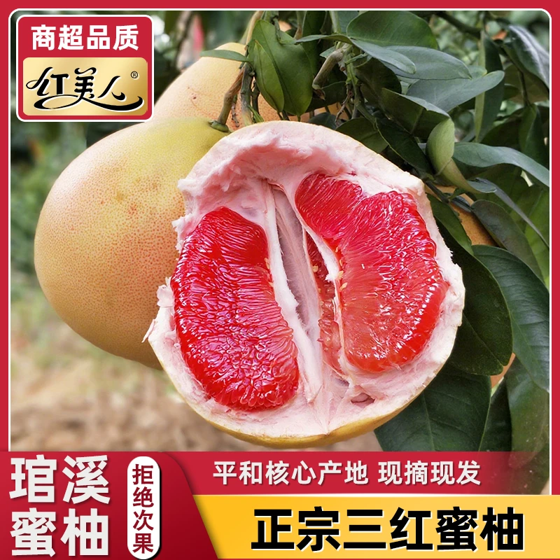 【琯溪蜜柚】平和三红蜜柚新鲜采摘柚子香甜爽口多汁当季水果1上
