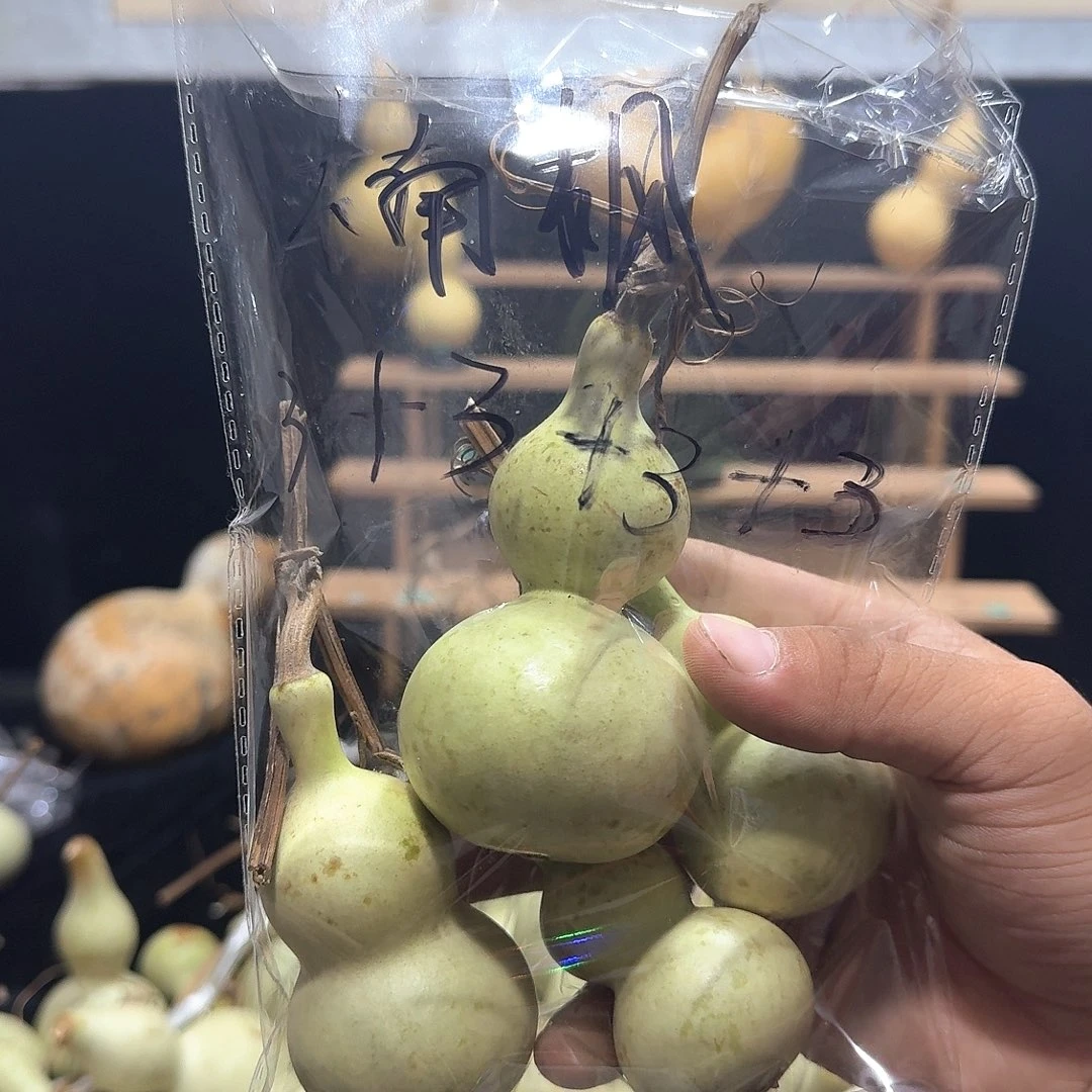 楠*定向定向定向定向