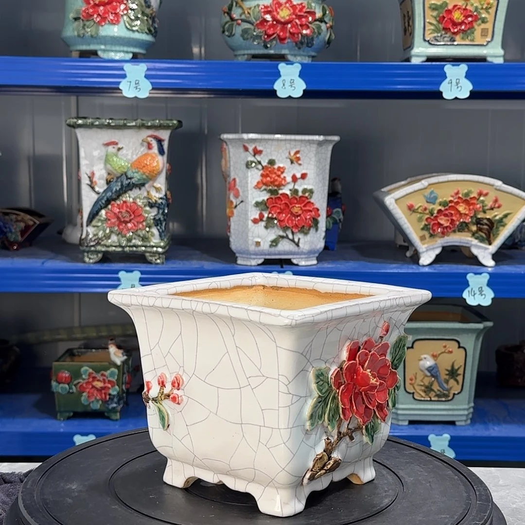 余***猪我也很开心能看到