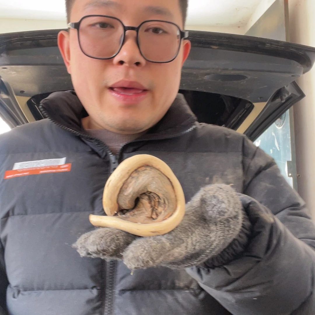 【闪购商品】柏木嘉*啦咯啦咯啦咯啦咯