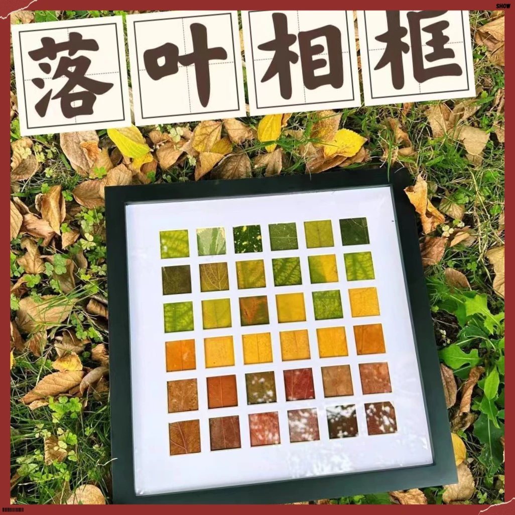 落叶相框48宫格diy树叶标本框WHJJ设计高颜值亲子手工标本【咪旺】
