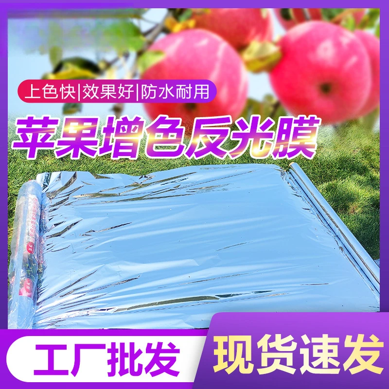苹果反光膜果树增色膜果园反光膜葡萄柑橘上色地膜大棚增温膜
