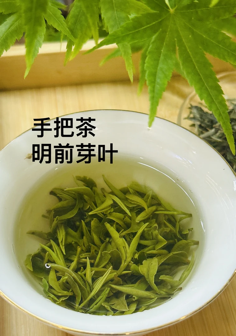 2025年明前一芽一叶纯手工朱堂茶信阳毛尖绿茶礼盒伴手礼半斤装