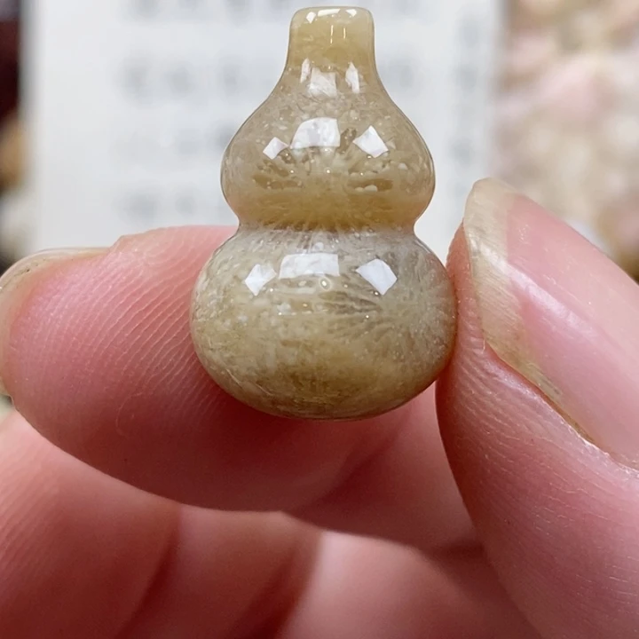 颈饰未镶嵌硅化珊瑚（珊瑚玉）没打孔 小