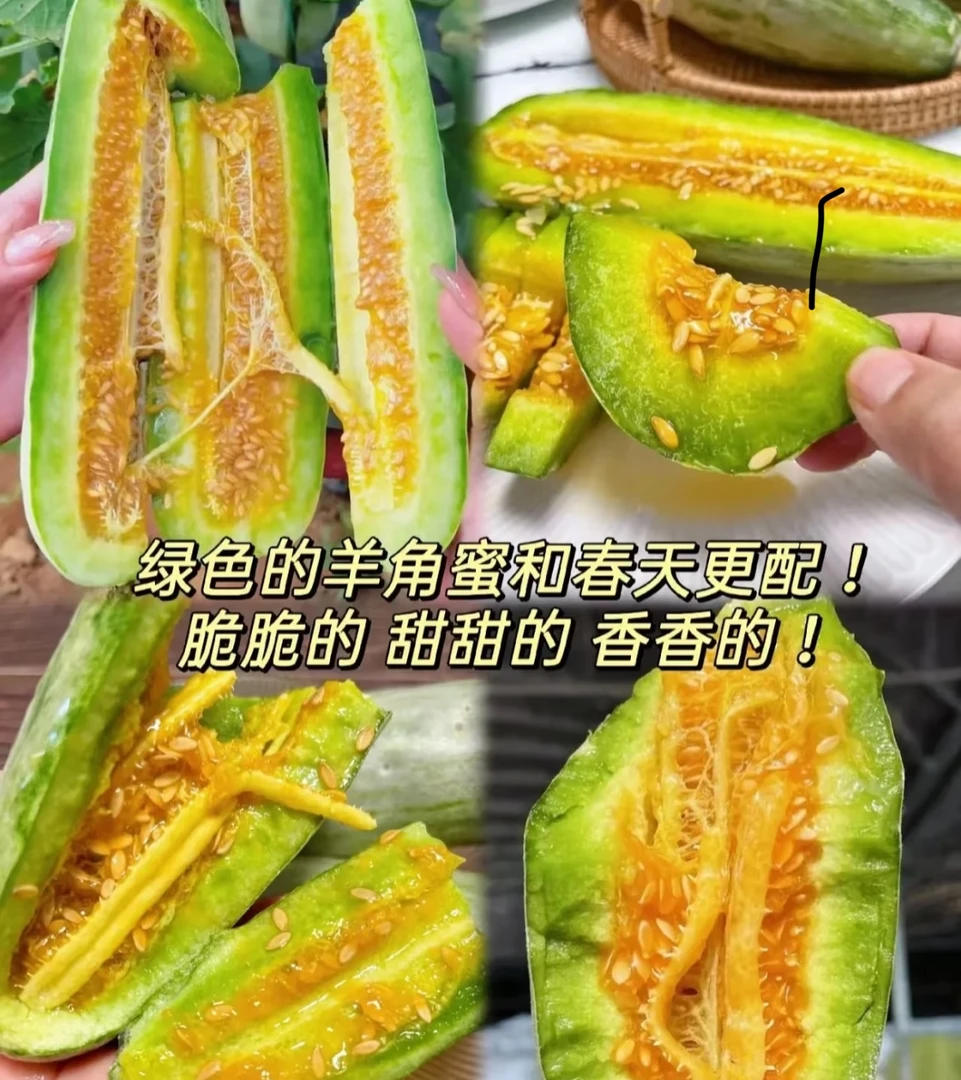 春季减脂一定要吃的头茬羊角蜜瓜