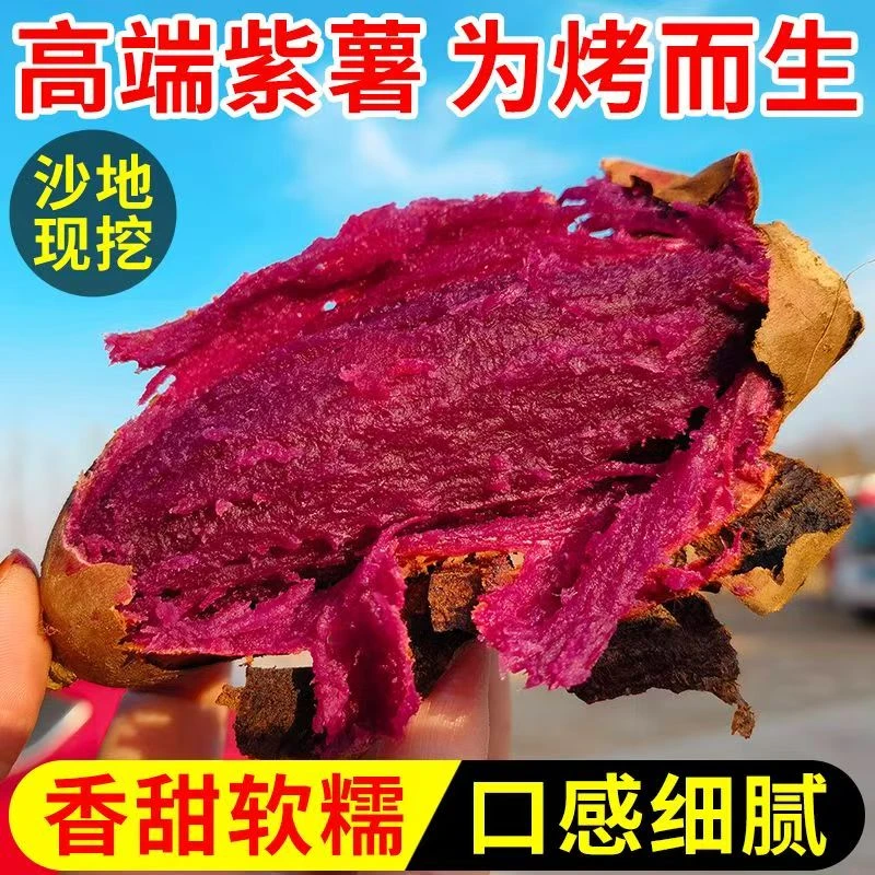 山东黑美人紫薯糖心紫薯
