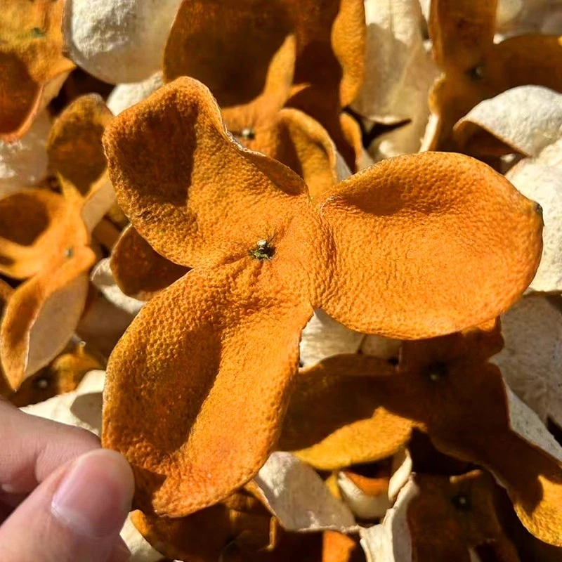 【八年树冬后狗腩皮】2025年正宗浦北陈皮茶枝柑品种新皮少量断片