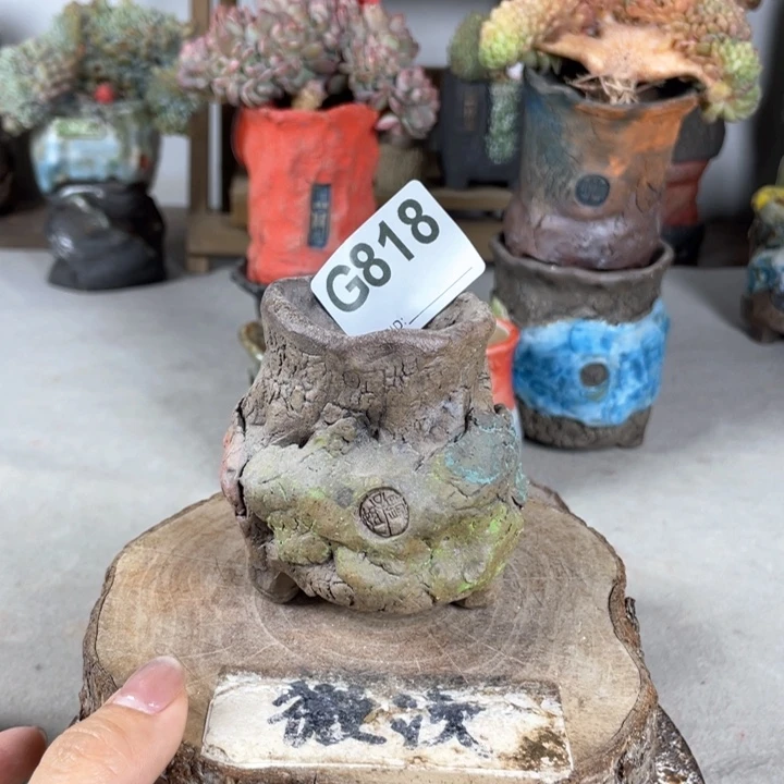紫砂花盆开播福利陶瓷花盆