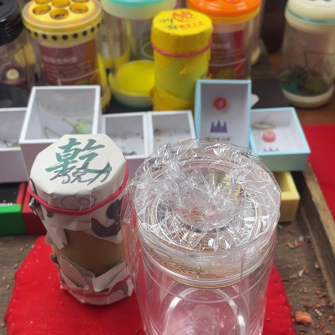 巧***力蟋蟀新的一年希望自己能有个好