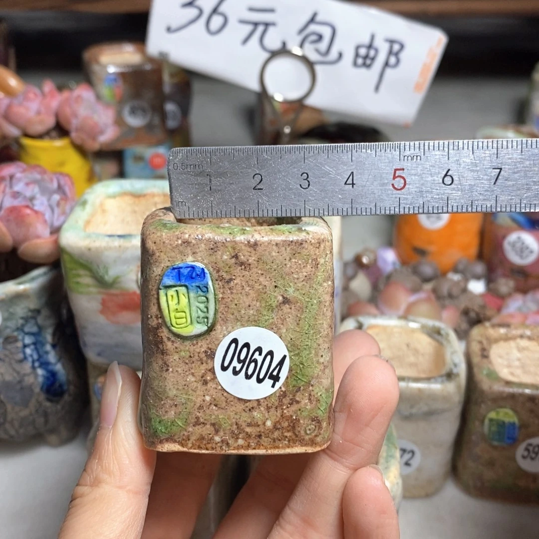 拍3送一个小礼物