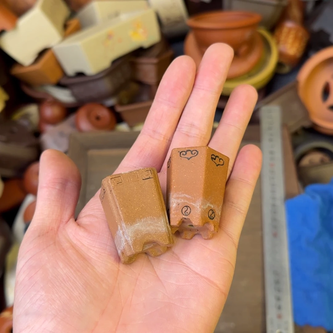 三***花泥塑vvvvvvvvvvvvv两个