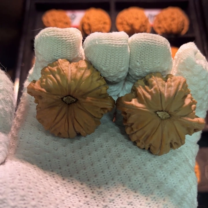 晓***）桃核吊坠02秦皇岛山地果全品