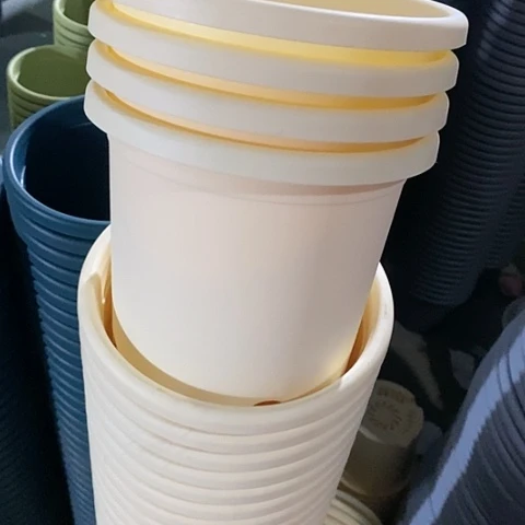 树脂四季2号12个无托米黄