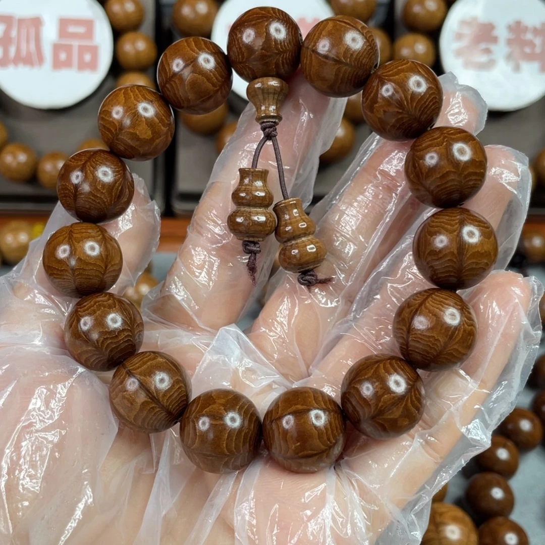 六道木陈化老料，精品1.5