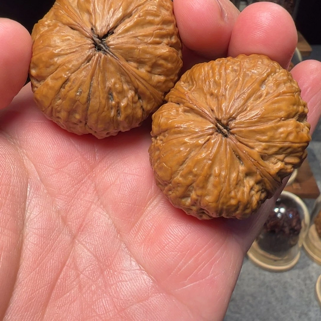 文玩核桃把件哲南瓜墩