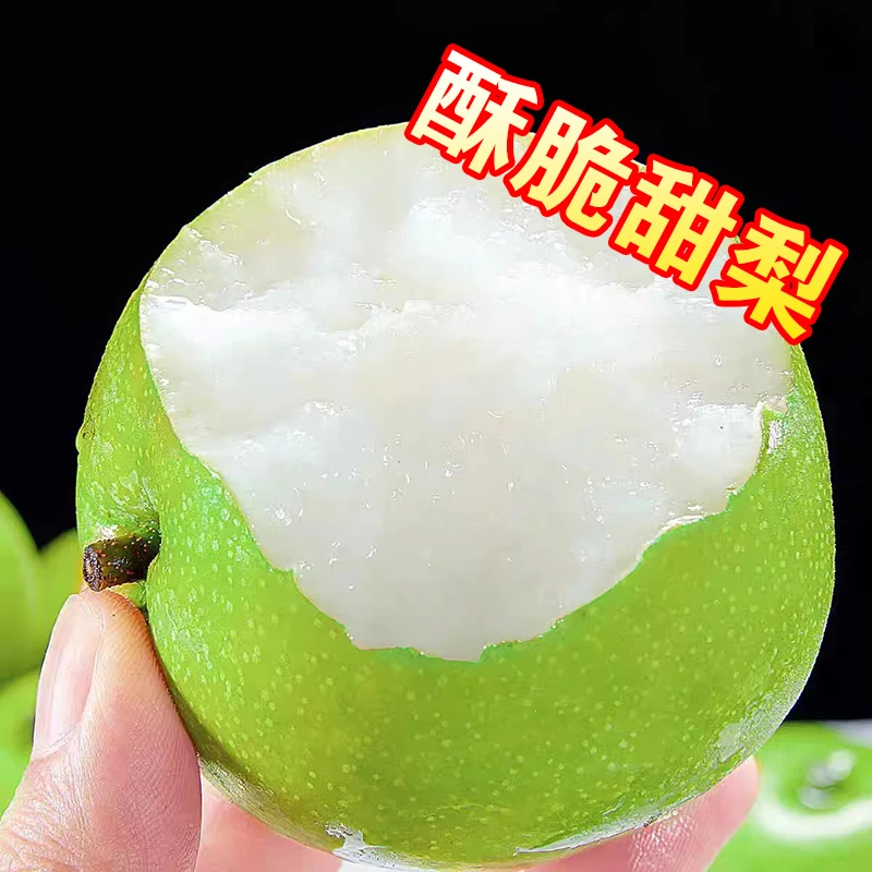 安徽砀山当季青皮蜜梨现摘现发脆甜多汁净重3斤/4.5斤新鲜水果安徽省