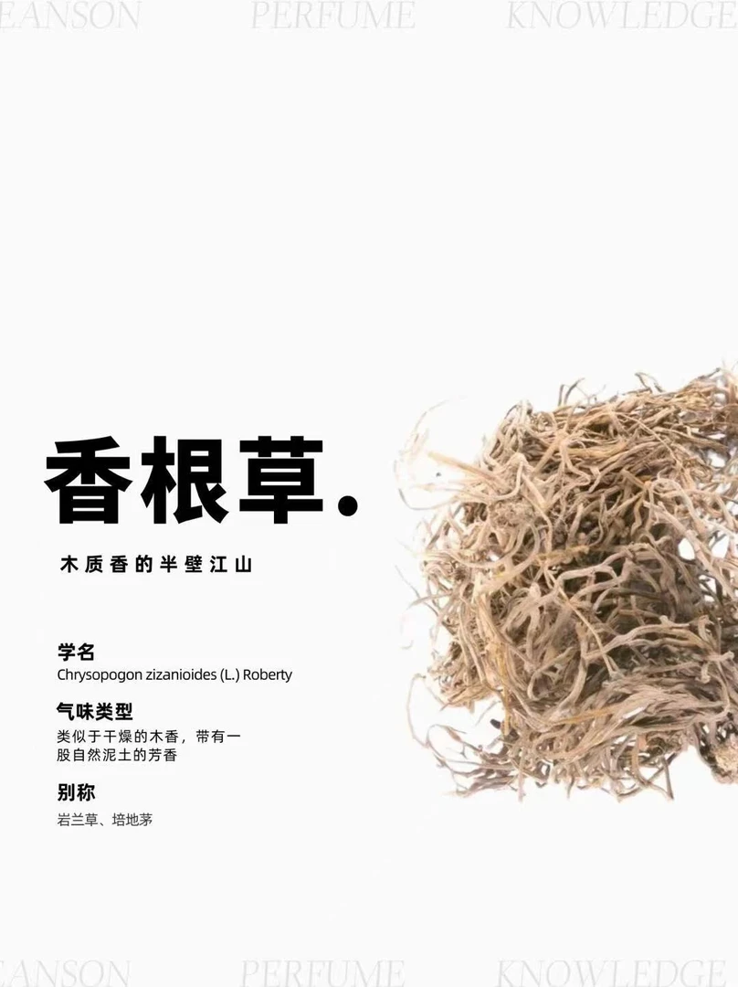 岩兰草根天然植物香料无添加净化空间木质香冥想瑜伽