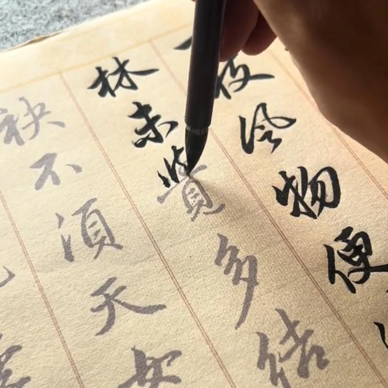 FAVMARTHA赵孟俯行书典范作品梅花诗描红长卷临摹毛笔字帖宣纸3遍