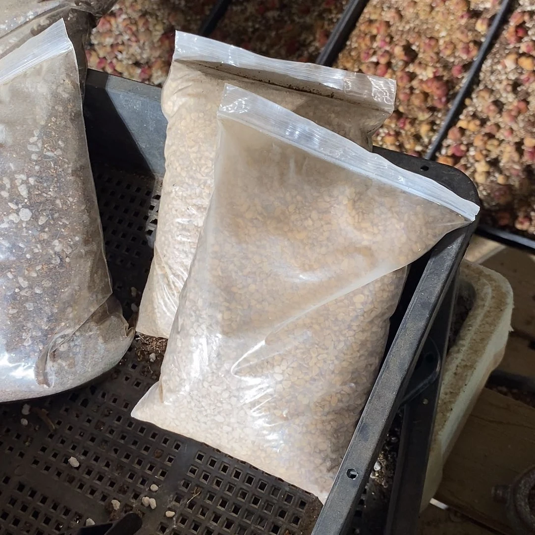 硅藻铺土石一袋。