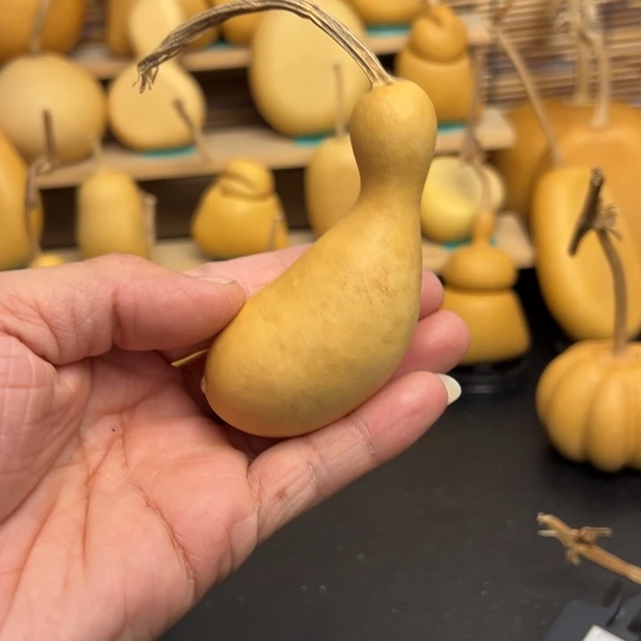 差**思6666666666666999