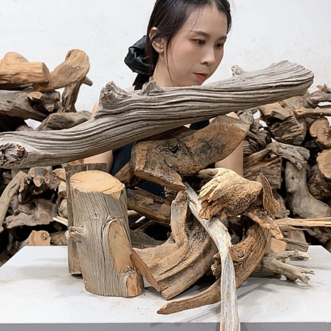 【闪购商品】柏木东*鸥我们都是好孩子啊