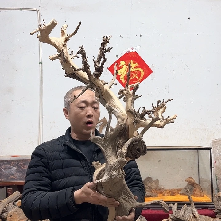 柏木《****》我们的生活也是