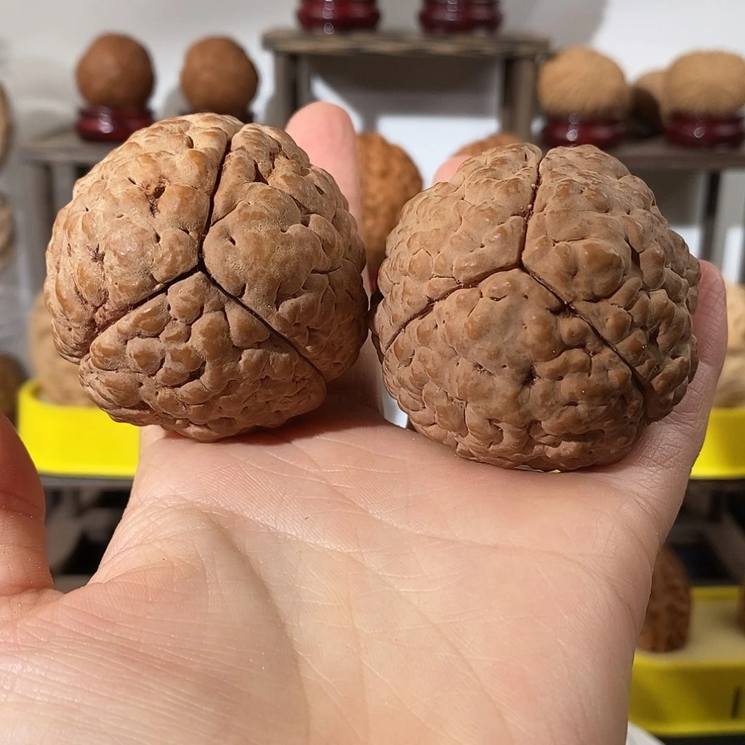 吊坠文玩核桃N****B三瓣脑纹金刚虫眼不退不换不接受中差评