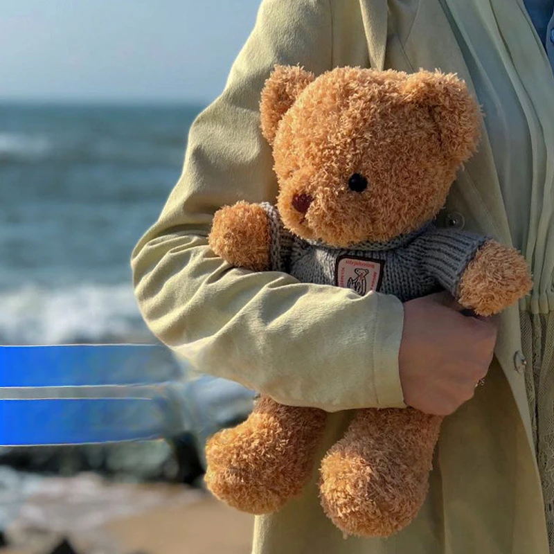 可爱抱抱熊泰迪熊公仔玩偶陪睡穿衣小熊布娃娃毛绒玩具礼物