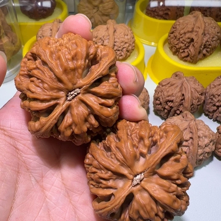 风***舟文玩核桃把件48大粗筋