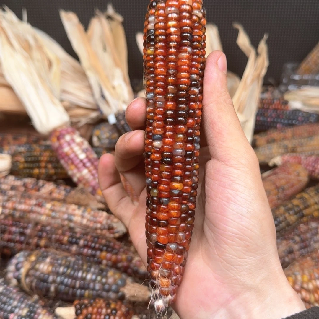 柏香籽/百香籽吊坠念*