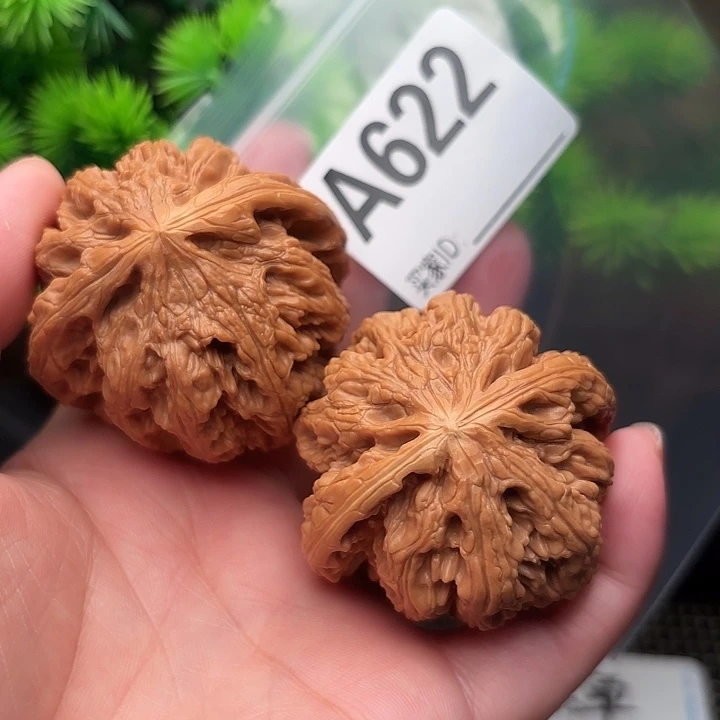 桃核把件核桃大粗筋47