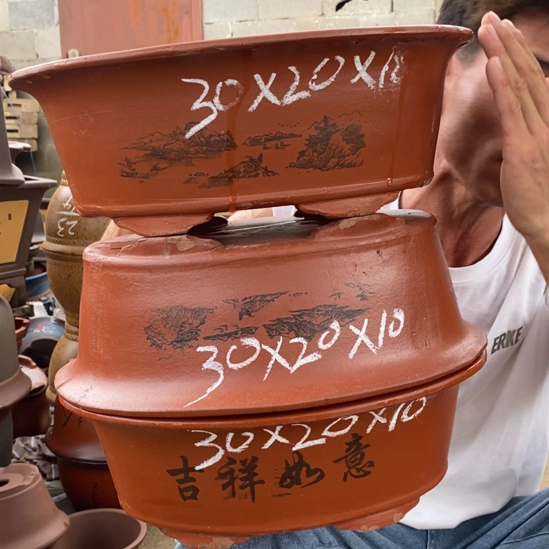 紫砂紫砂紫砂紫砂