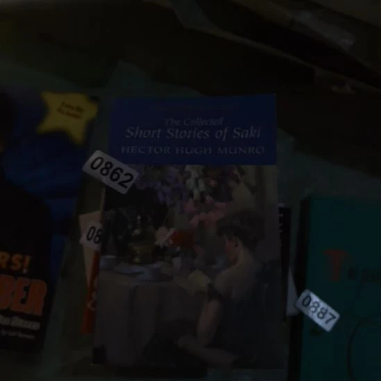 862号英文书英文书