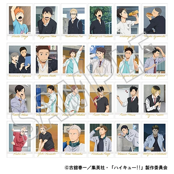 【日谷】排球少年 放课后 金签拍立得 PREMIUM vol.3 系列