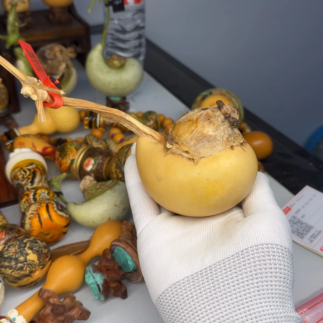 咕*噗11111111111111111