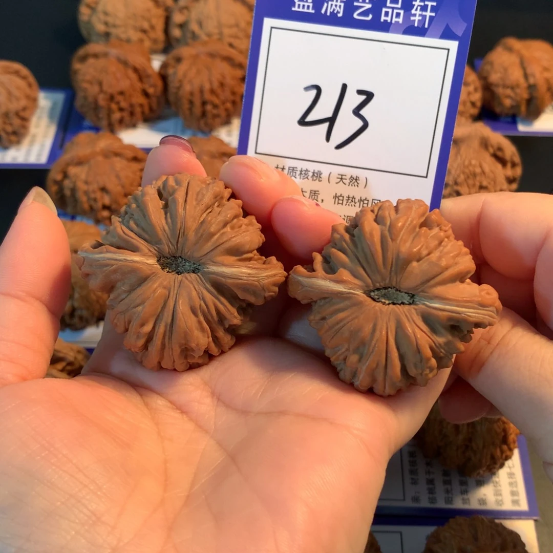 文玩核桃把件213楼子4.6