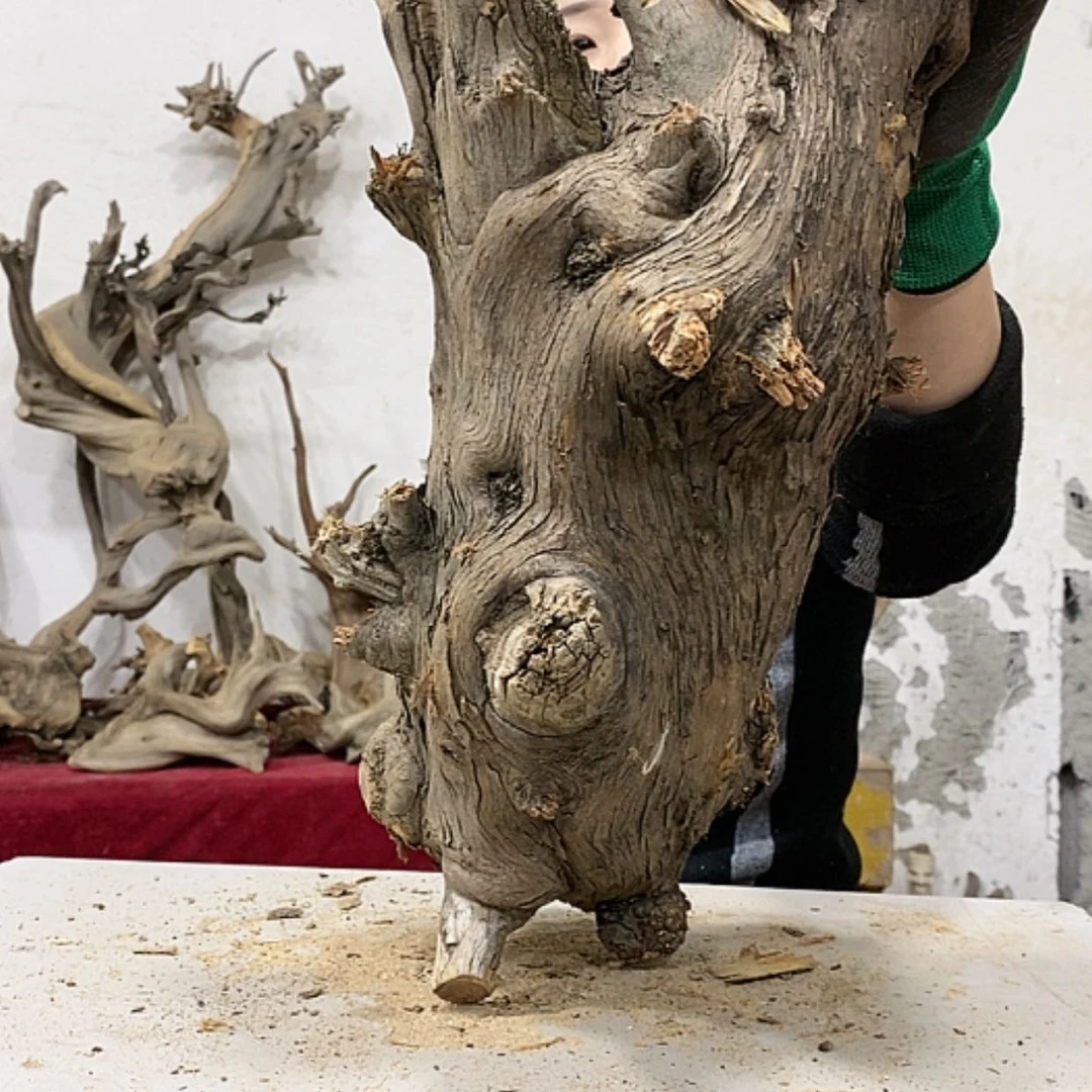 【闪购商品】柏木上****啦我们都是好孩子