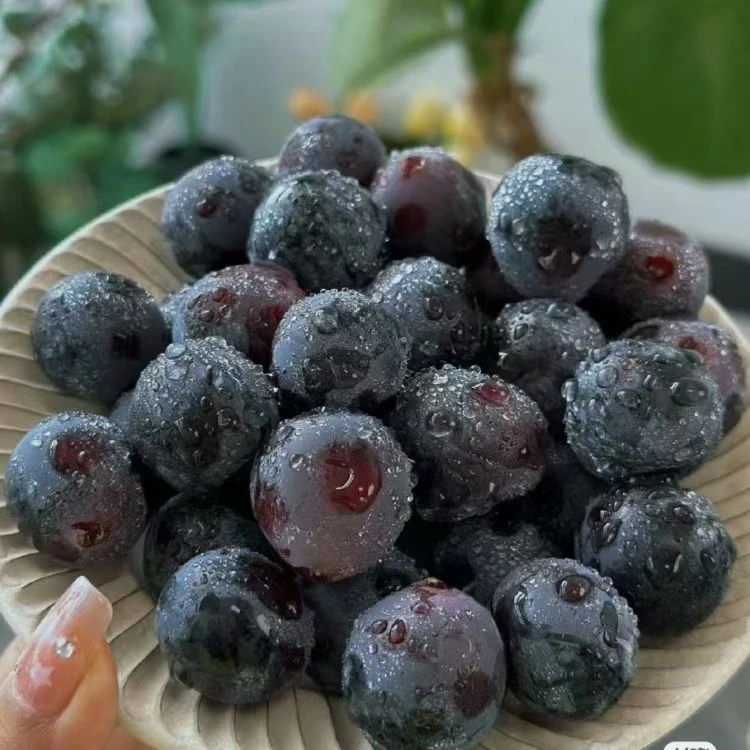 【头等果舱】精品夏黑葡萄约300g（剪枝洗净）
