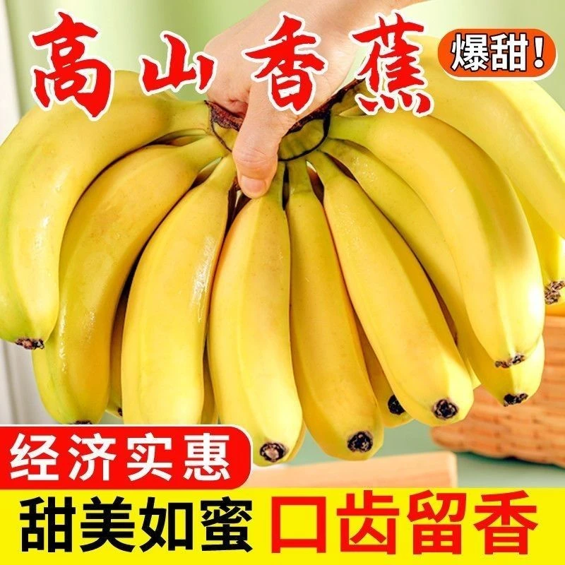 【爆品专属3】高山甜香蕉当季新鲜自然成熟软糯香甜水果