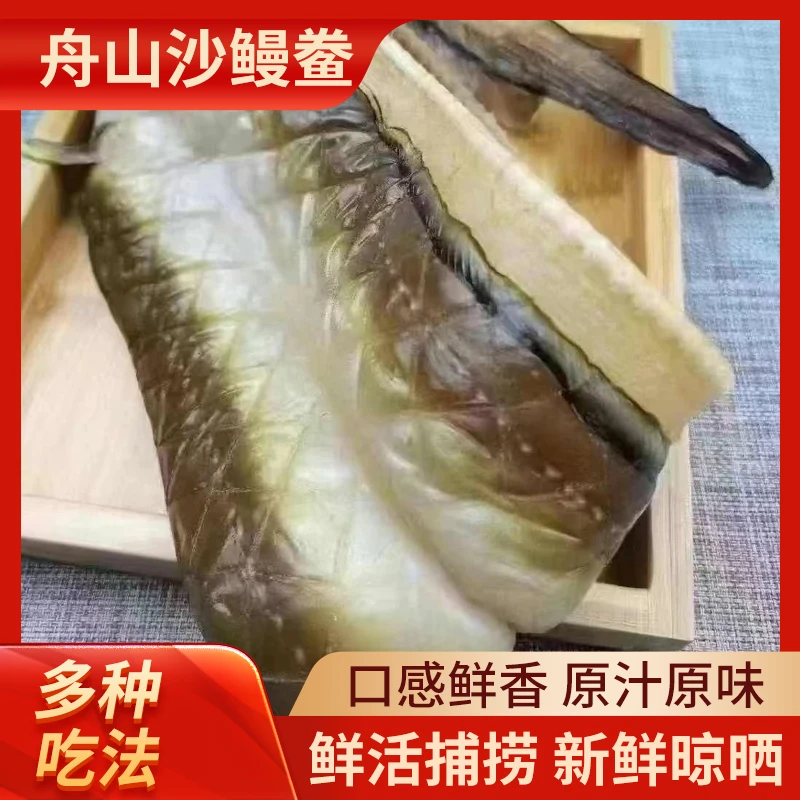 舟山沙鳗鱼干海鲜干货渔民自晒特产美味特大号1斤/条